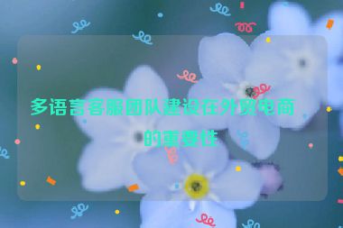 多語言客服團隊建設在外貿(mào)電商中的重要性