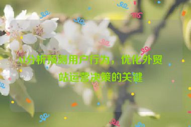 AI分析預(yù)測(cè)用戶(hù)行為，優(yōu)化外貿(mào)網(wǎng)站運(yùn)營(yíng)決策的關(guān)鍵