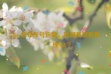 eBay企業(yè)賬號(hào)運(yùn)營(yíng)，如何高效批量管理SKU？