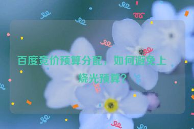 百度競價預(yù)算分配，如何避免上午燒光預(yù)算？