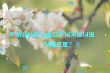 廣州企業(yè)如何通過長尾關(guān)鍵詞提升精準流量？