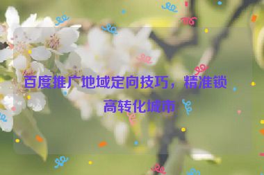 百度推廣地域定向技巧，精準鎖定高轉(zhuǎn)化城市