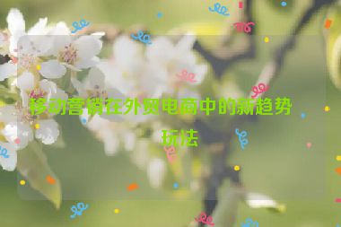 移動營銷在外貿(mào)電商中的新趨勢與玩法