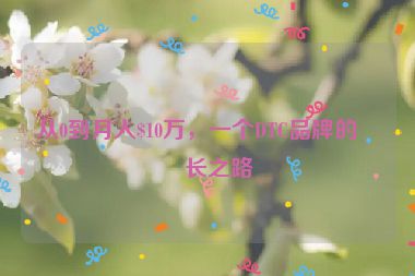 從0到月入$10萬，一個DTC品牌的成長之路