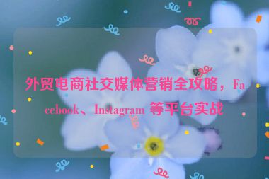 外貿(mào)電商社交媒體營銷全攻略，F(xiàn)acebook、Instagram 等平臺實(shí)戰(zhàn)