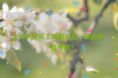 無代碼建站工具的興起，誰還需要程序員？