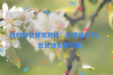 應(yīng)對網(wǎng)站被黑危機(jī)，運(yùn)營維護(hù)的應(yīng)急處理實(shí)戰(zhàn)方案