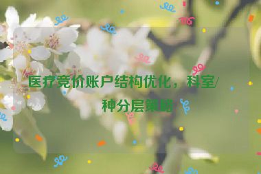 醫(yī)療競(jìng)價(jià)賬戶結(jié)構(gòu)優(yōu)化，科室/病種分層策略