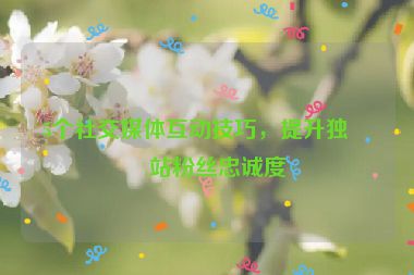 5個社交媒體互動技巧，提升獨立站粉絲忠誠度