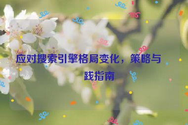 應(yīng)對(duì)搜索引擎格局變化，策略與實(shí)踐指南