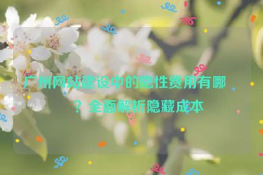 廣州網(wǎng)站建設(shè)中的隱性費(fèi)用有哪些？全面解析隱藏成本