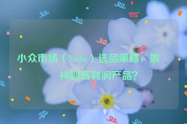 小眾市場（Niche）選品策略，如何找到高利潤產(chǎn)品？
