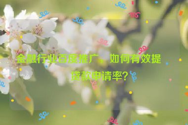 金融行業(yè)百度推廣，如何有效提升貸款申請(qǐng)率？