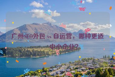 廣州SEO外包 vs 自運營，哪種更適合中小企業(yè)？