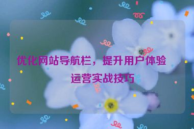 優(yōu)化網(wǎng)站導(dǎo)航欄，提升用戶體驗，運營實戰(zhàn)技巧