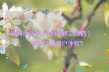 如何優(yōu)化AMP（加速移動頁面）提升移動端用戶體驗？