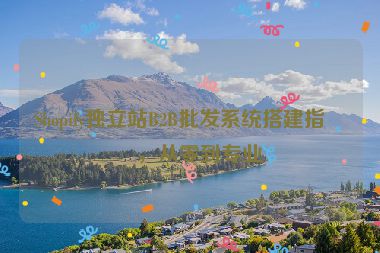 Shopify獨(dú)立站B2B批發(fā)系統(tǒng)搭建指南，從零到專業(yè)