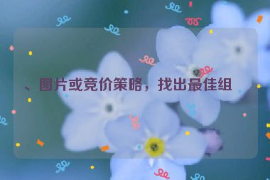 、圖片或競(jìng)價(jià)策略，找出最佳組合