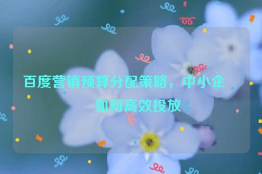 百度營(yíng)銷預(yù)算分配策略，中小企業(yè)如何高效投放
