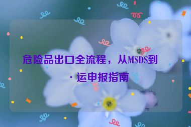 危險品出口全流程，從MSDS到海運(yùn)申報指南