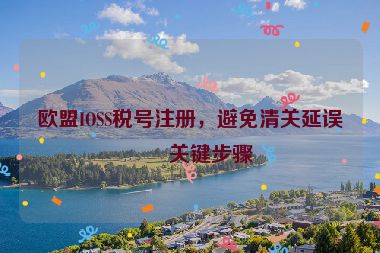 歐盟IOSS稅號注冊，避免清關(guān)延誤的關(guān)鍵步驟