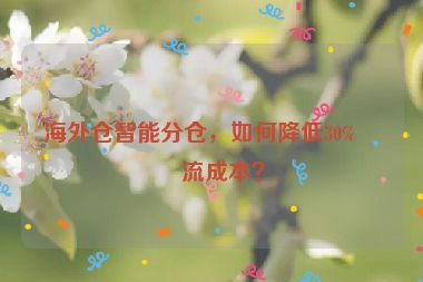 海外倉智能分倉，如何降低30%物流成本？