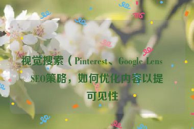 視覺搜索（Pinterest、Google Lens）SEO策略，如何優(yōu)化內(nèi)容以提升可見性