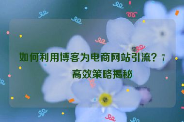 如何利用博客為電商網(wǎng)站引流？7個高效策略揭秘