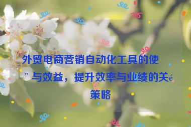 外貿(mào)電商營銷自動化工具的使用與效益，提升效率與業(yè)績的關(guān)鍵策略