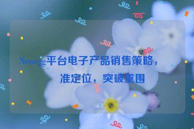 Newegg平臺(tái)電子產(chǎn)品銷售策略，精準(zhǔn)定位，突破重圍