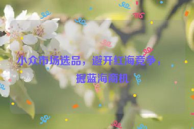 小眾市場選品，避開紅海競爭，挖掘藍(lán)海商機