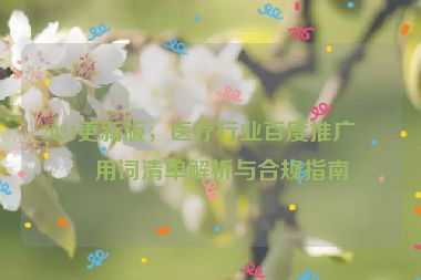 2024更新版，醫(yī)療行業(yè)百度推廣禁用詞清單解析與合規(guī)指南