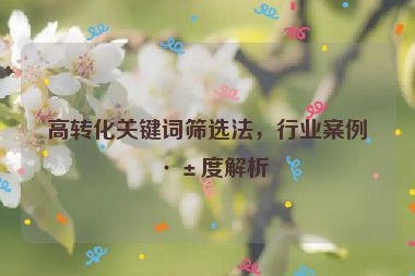 高轉化關鍵詞篩選法，行業(yè)案例深度解析