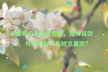 百度競(jìng)價(jià)與微信營(yíng)銷，如何高效引導(dǎo)用戶加入私域流量池？