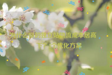 為什么你的獨立站物流成本居高不下？5個優(yōu)化方案