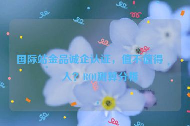 國際站金品誠企認(rèn)證，值不值得投入？ROI測算分析
