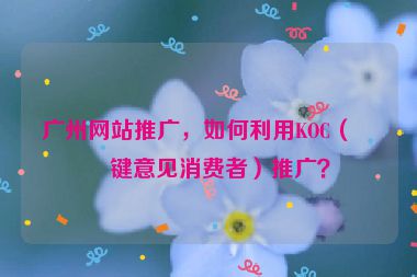 廣州網(wǎng)站推廣，如何利用KOC（關(guān)鍵意見消費(fèi)者）推廣？