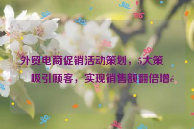 外貿(mào)電商促銷活動策劃，5大策略吸引顧客，實(shí)現(xiàn)銷售額翻倍增長