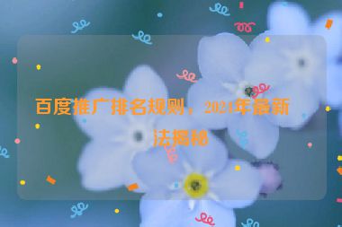 百度推廣排名規(guī)則，2024年最新算法揭秘