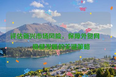 評(píng)估新興市場(chǎng)風(fēng)險(xiǎn)，保障外貿(mào)網(wǎng)站穩(wěn)健發(fā)展的關(guān)鍵策略