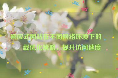 響應式網(wǎng)站在不同網(wǎng)絡環(huán)境下的加載優(yōu)化策略，提升訪問速度