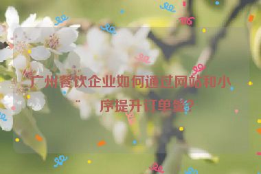 廣州餐飲企業(yè)如何通過網(wǎng)站和小程序提升訂單量？