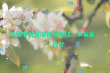 外貿(mào)電商直播營銷策劃，從籌備到執(zhí)行