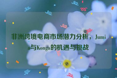 非洲跨境電商市場(chǎng)潛力分析，Jumia與Konga的機(jī)遇與挑戰(zhàn)