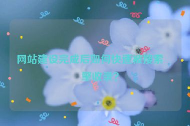 網(wǎng)站建設(shè)完成后如何快速被搜索引擎收錄？