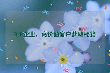 B2B企業(yè)，高價值客戶獲取秘籍