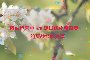 網(wǎng)站運(yùn)營中 A/B 測試優(yōu)化引流頁面的實戰(zhàn)經(jīng)驗分享