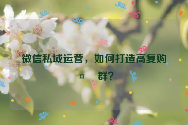 微信私域運(yùn)營(yíng)，如何打造高復(fù)購社群？