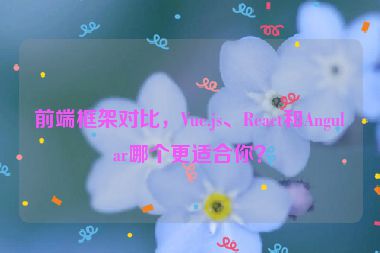 前端框架對(duì)比，Vue.js、React和Angular哪個(gè)更適合你？