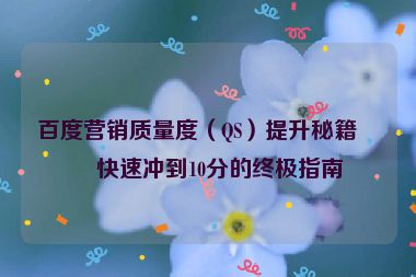百度營銷質(zhì)量度（QS）提升秘籍，快速?zèng)_到10分的終極指南